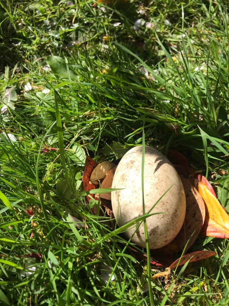 Final part (viii) of the chapter Open to life: the Heart of Awareness!