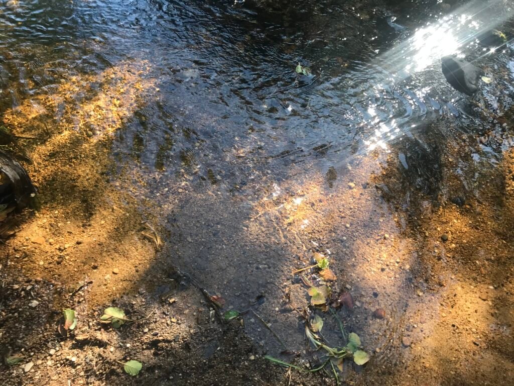 Cool clear water – light relief!